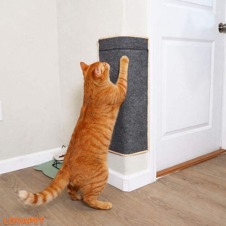 May include: An orange tabby cat scratches a gray felt corner scratching post. The post is attached to a white wall and door frame. The cat is standing on its hind legs, reaching up to scratch the post. A green mat and food bowl are on the floor.