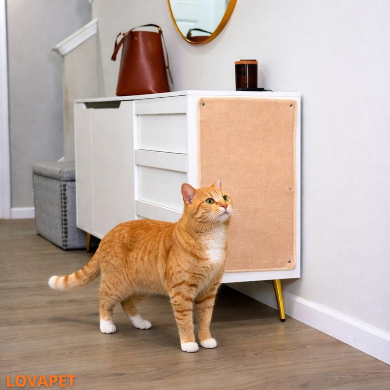 May include: An orange tabby cat with white paws stands in front of a white cabinet with a tan scratching board. The cabinet has gold legs. A brown leather bag and a round mirror are visible in the background.