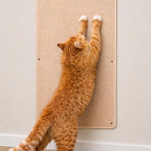 May include: An orange tabby cat stretching on a beige scratching board mounted on a wall. The cat is reaching up with its front paws, claws extended, while its hind legs are on the floor. The scratching board has a rectangular shape and is secured with screws.