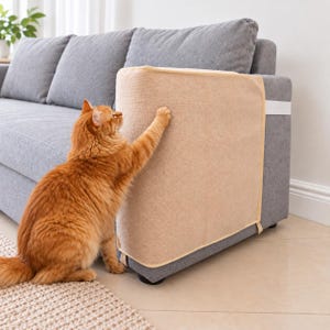 May include: A beige rectangular fabric cat scratching pad attached to the side of a grey upholstered sofa. An orange tabby cat is standing on the floor and reaching up to scratch the textured surface of the beige protective furniture cover.