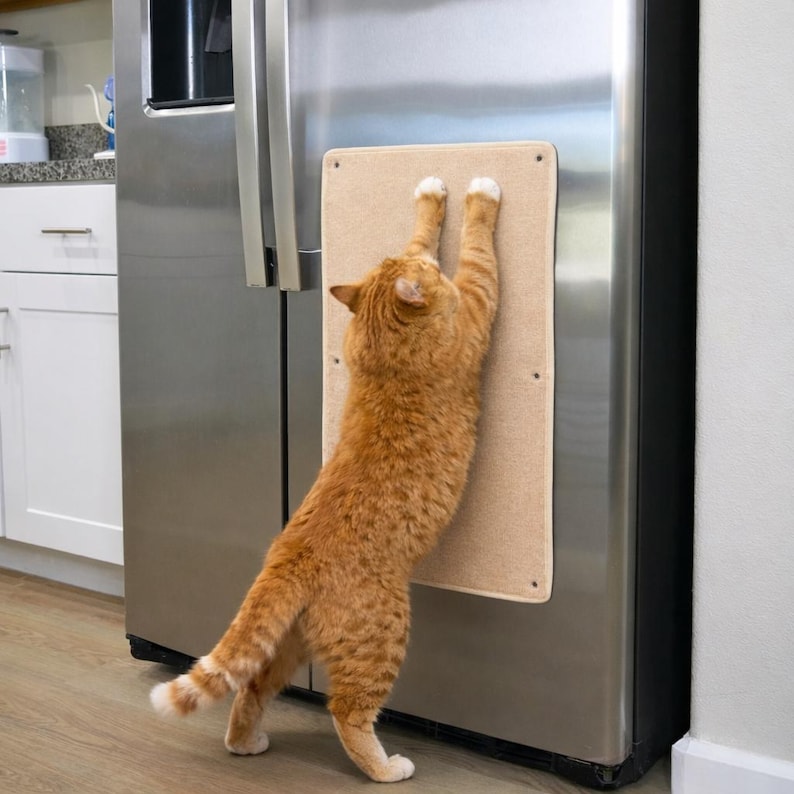 May include: An orange tabby cat stretching on a beige scratching board attached to a stainless steel refrigerator. The cat is reaching up with its front paws, engaging with the textured surface. The board is rectangular and mounted with visible screws.