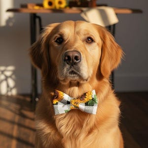 Könnte beinhalten: Ein Golden Retriever trägt eine Fliege mit Sonnenblumenmuster. Die Fliege hat gelbe Sonnenblumen und grüne Blätter auf einem weiß-schwarz karierten Hintergrund. Der Hund sitzt drinnen, mit einem Tisch und Sonnenblumen im Hintergrund.