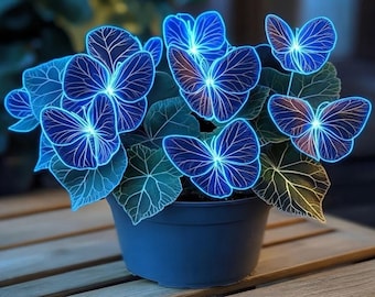 May include: A potted plant featuring dark green leaves with glowing blue butterfly-shaped patterns. The plant is housed in a simple, solid dark blue container. The leaves exhibit intricate, light-emitting veins that create a vibrant, luminous effect.