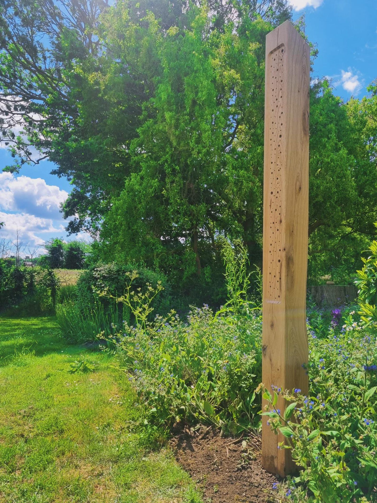Oak Solitary Bee Post, Bumblebee Habitat, Wildlife Garden Bug Hotel ...
