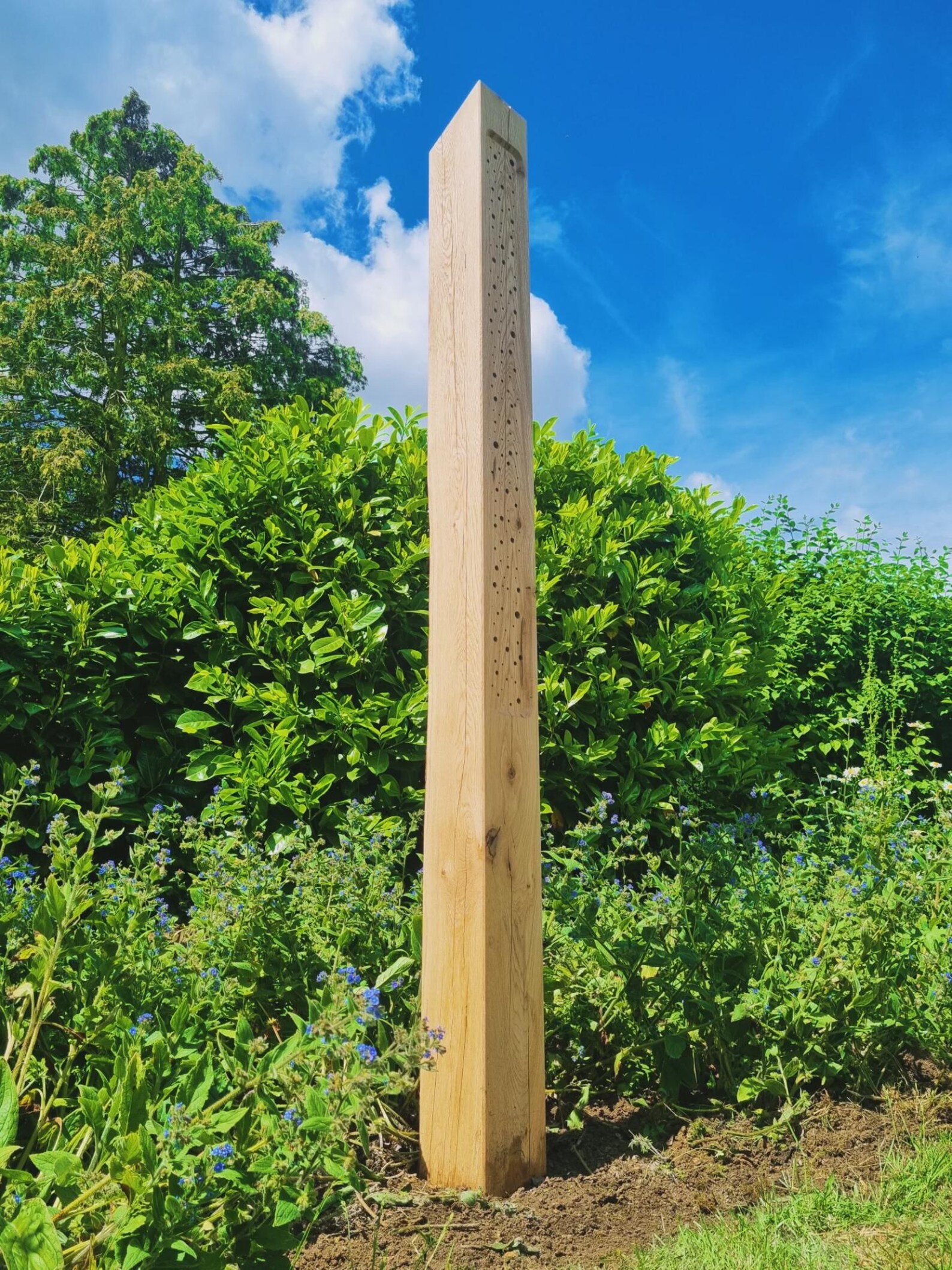 Oak Solitary Bee Post, Bumblebee Habitat, Wildlife Garden Bug Hotel ...