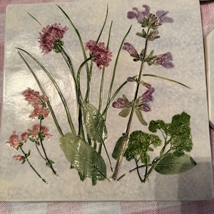 Könnte beinhalten: Quadratische Keramikfliese mit hellblauem Hintergrund, mit geprägten botanischen Designs. Die Fliese zeigt detaillierte Darstellungen verschiedener Blumen und Blätter in Rosa-, Lila- und Grüntönen.