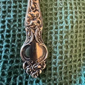 Puede incluir: Primer plano de una cuchara plateada con detalles florales y de hojas ornamentados. El mango de la cuchara presenta un diseño floral prominente y volutas intrincadas. La cuchara está sobre un fondo verde texturizado.