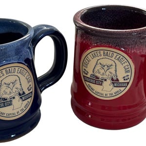 Great Lakes Bald Eagle Cam Coffee Mug