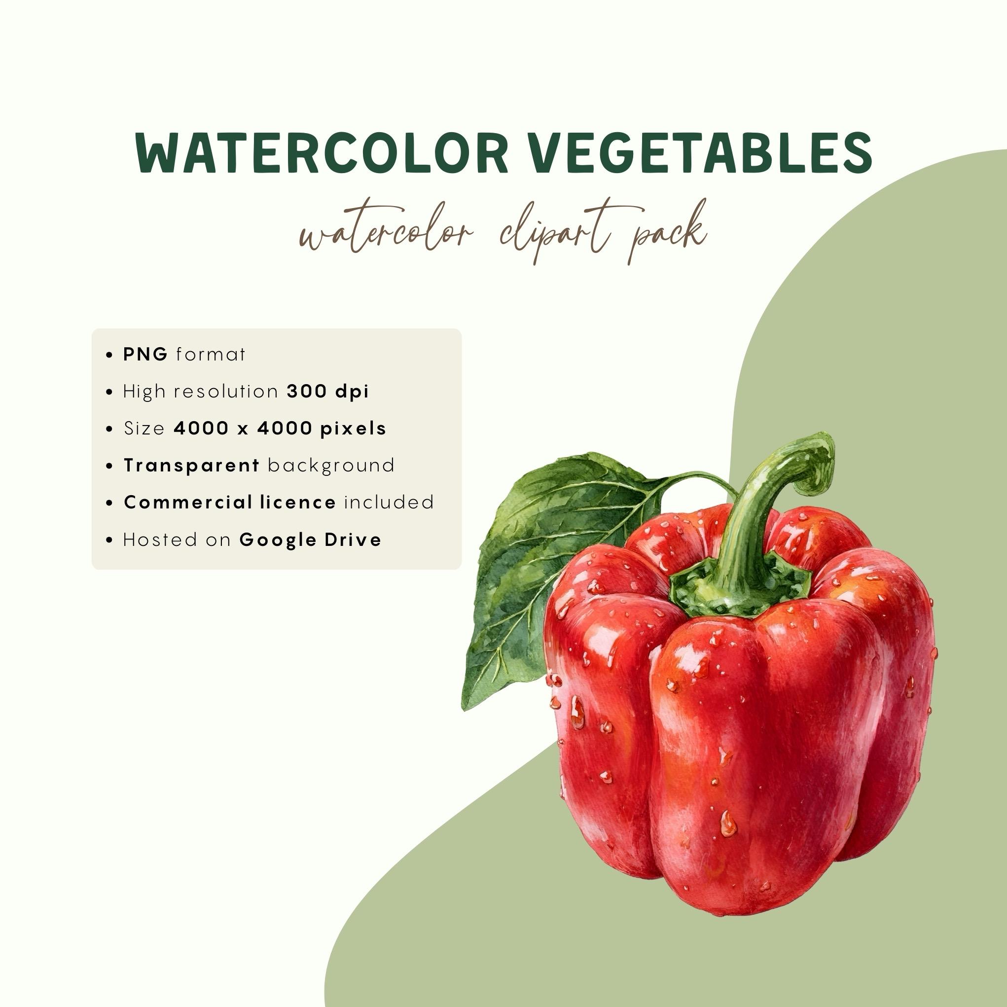 Vegetable Clipart Set – 44 Watercolor PNG, Fresh Garden Veggie ...