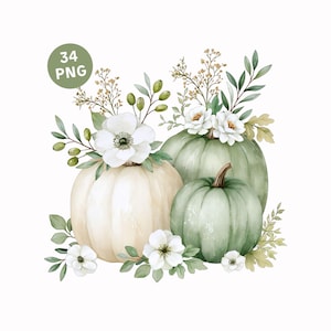 Può includere: Un'illustrazione digitale raffigurante tre zucche nei toni del crema e del verde salvia, decorate con fiori di anemone bianchi, foglie verdi e rametti di piccole bacche. Un badge circolare nell'angolo in alto a sinistra mostra il testo 34 PNG.
