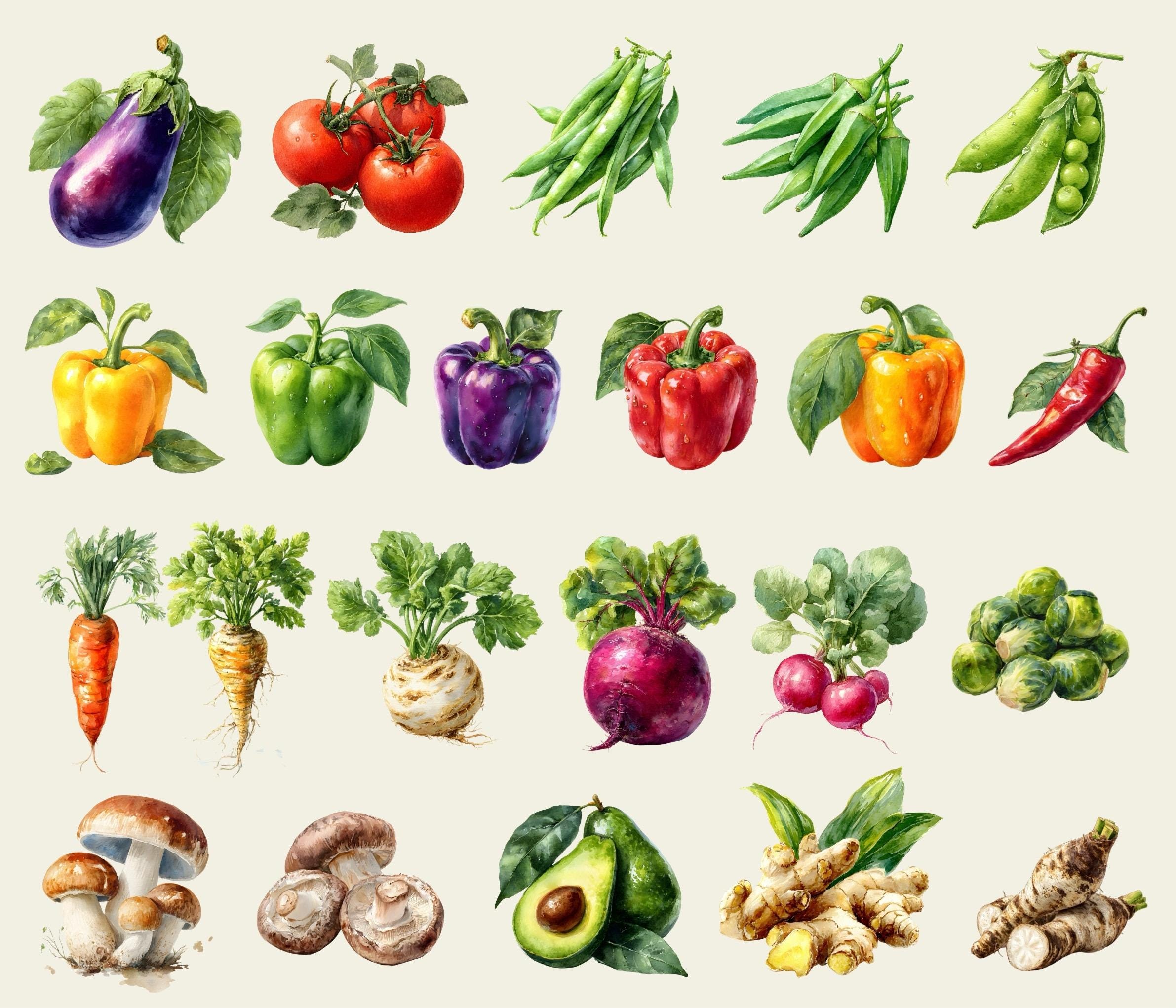 Vegetable Clipart Set – 44 Watercolor PNG, Fresh Garden Veggie ...