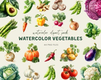 Vegetable Clipart Set – 44 Watercolor PNG, Fresh Garden Veggie Illustrations, Farmers Market, Sublimation Design