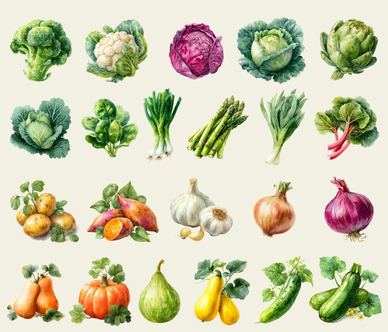 Vegetable Clipart Set – 44 Watercolor PNG, Fresh Garden Veggie ...