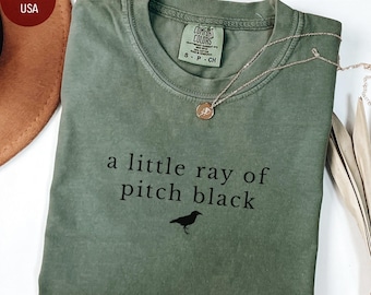 Funny Sarcastic Shirt, Comfort Colors Bird Lover Tshirt, Funny Gift for Friend, Dark Humor Tee, A Little Ray of Pitch Black, Gothic Crow Tee