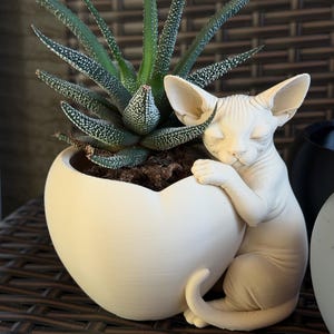 May include: A white, heart-shaped planter with a green succulent plant. A white, hairless cat figurine is embracing the planter. The cat has its eyes closed and is in a relaxed pose. The planter is on a brown woven surface.