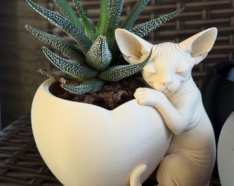 Vaso personalizado em formato de coração com gato Sphynx, organizador de mesa artesanal para suculentas.