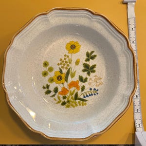Pu&ograve; includere: Una ciotola in ceramica bianca con bordo smerlato e motivo floreale. La ciotola presenta un bordo marrone e una superficie macchiettata. Il motivo floreale comprende fiori gialli, arancioni e blu con foglie verdi. La ciotola ha un diametro di circa 20 cm.