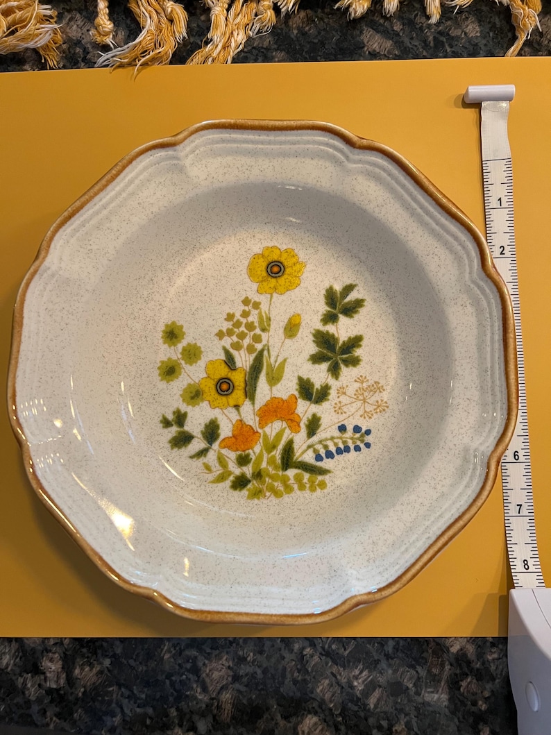 Pu&ograve; includere: Una ciotola in ceramica bianca con bordo smerlato e motivo floreale. La ciotola presenta un bordo marrone e una superficie macchiettata. Il motivo floreale comprende fiori gialli, arancioni e blu con foglie verdi. La ciotola ha un diametro di circa 20 cm.