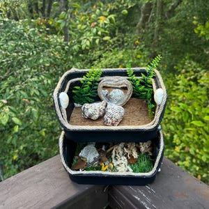 May include: A two-tiered black container decorated with seashells, rope, and faux greenery. The top tier features a central arrangement of shells and a rope-framed design. The bottom tier contains moss and additional decorative elements. The container is placed on a wooden surface.