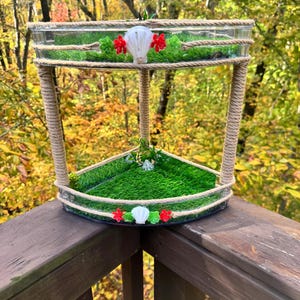 Tienda artesanal de conchas y escaladores de esquina de dos niveles