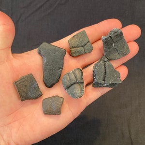 May include: Seven dark gray, irregularly shaped, ceramic pieces. The pieces are arranged on a hand.