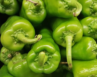 Anaheim Pepper Seeds, Heirloom Sweet Chili, High Yield