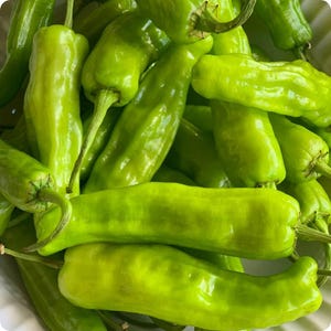 Pepperoncini Pepper Seeds, Italian Heirloom, Mild Heat, Non-GMO