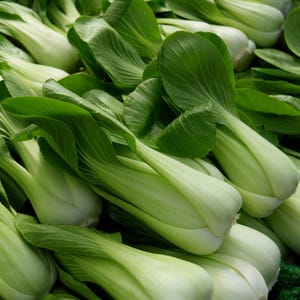 May include: A close-up shot of fresh bok choy. The image shows multiple heads of bok choy, with their vibrant green leaves and pale white stalks. The leaves are large and textured, while the stalks are smooth and tightly packed.