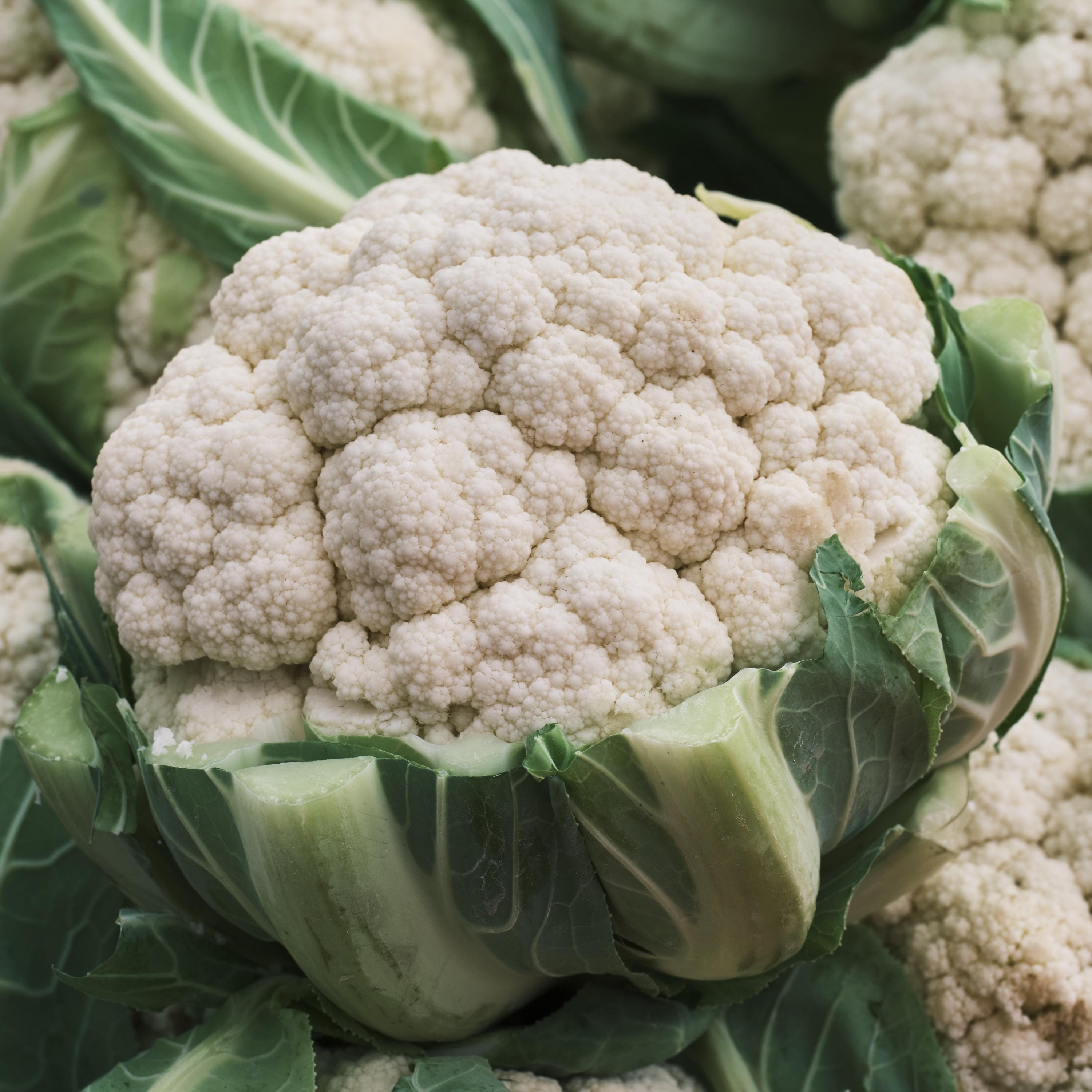 Snowball Improved Cauliflower Seeds - Heirloom Variety | Farm Hand