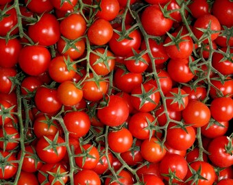 Red Cherry Tomato Seeds, Heirloom, Non-GMO