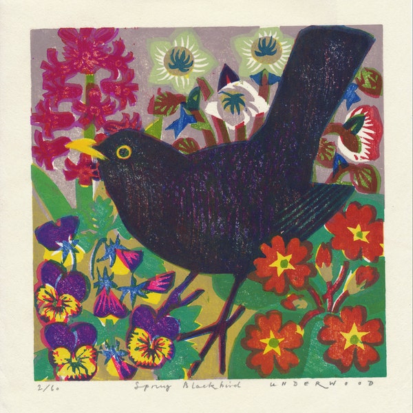 Spring Blackbird