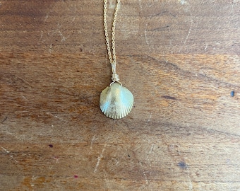 Lost Wax Cast Brass Seashell Necklace with Gold Filled Chain - Sea Collection