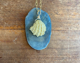 Lost Wax Cast Brass Seashell Necklace with Gold Filled Paper Clip Chain - Sea Collection