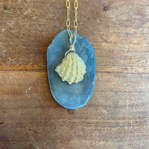 Lost Wax Cast Brass Seashell Necklace with Gold Filled Paper Clip Chain - Sea Collection