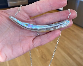 Abalone Shell Sea Collection with Sterling Silver Paper Clip Chain