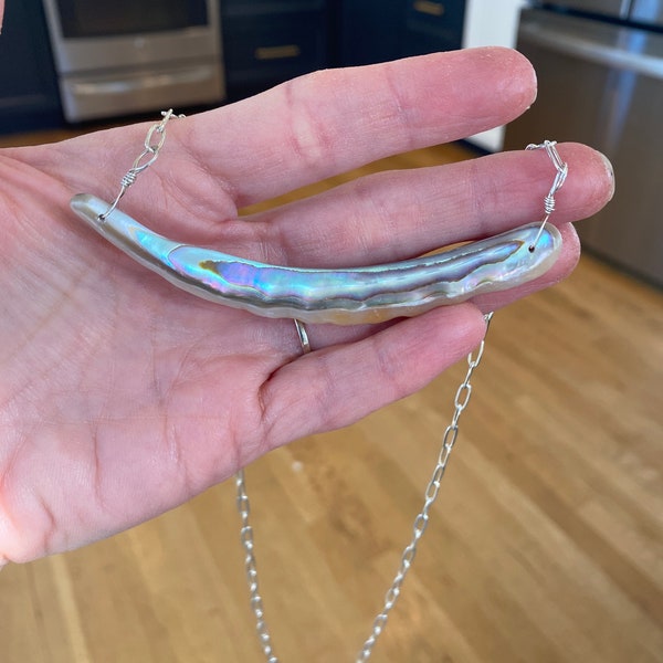 Abalone Shell Sea Collection with Sterling Silver Paper Clip Chain