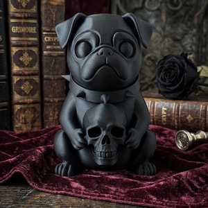 Könnte beinhalten: Schwarze Mops-Figur mit Stachelhalsband, die einen schwarzen Totenkopf hält. Der Mops sitzt auf einem bordeauxroten Samttuch, mit antiken Büchern im Hintergrund. Eine schwarze Rose und ein silbernes Objekt sind ebenfalls zu sehen.