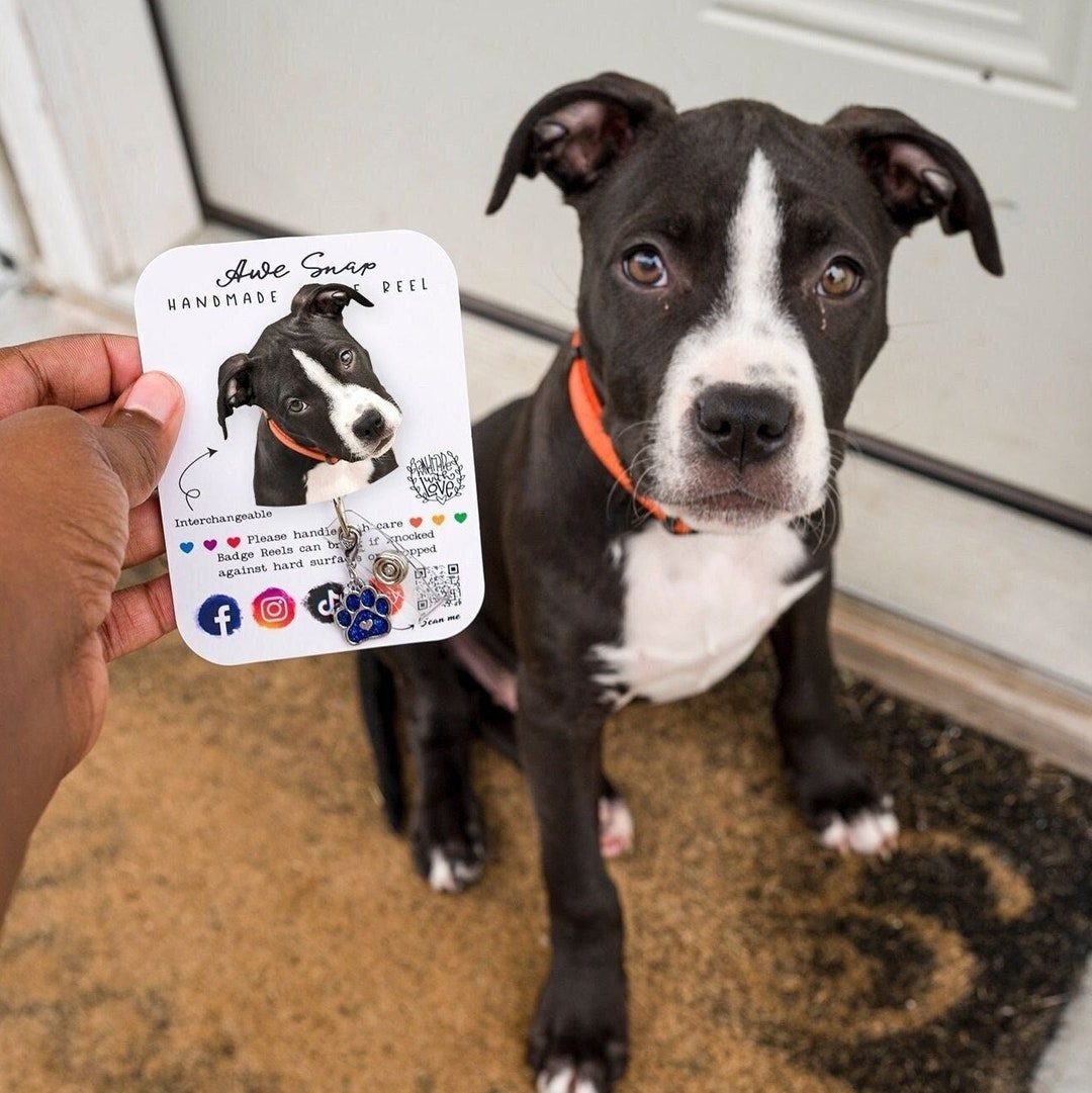 Pet Badge Reel, Custom Photo Badge Reel, Custom Dog Face, Custom Cat