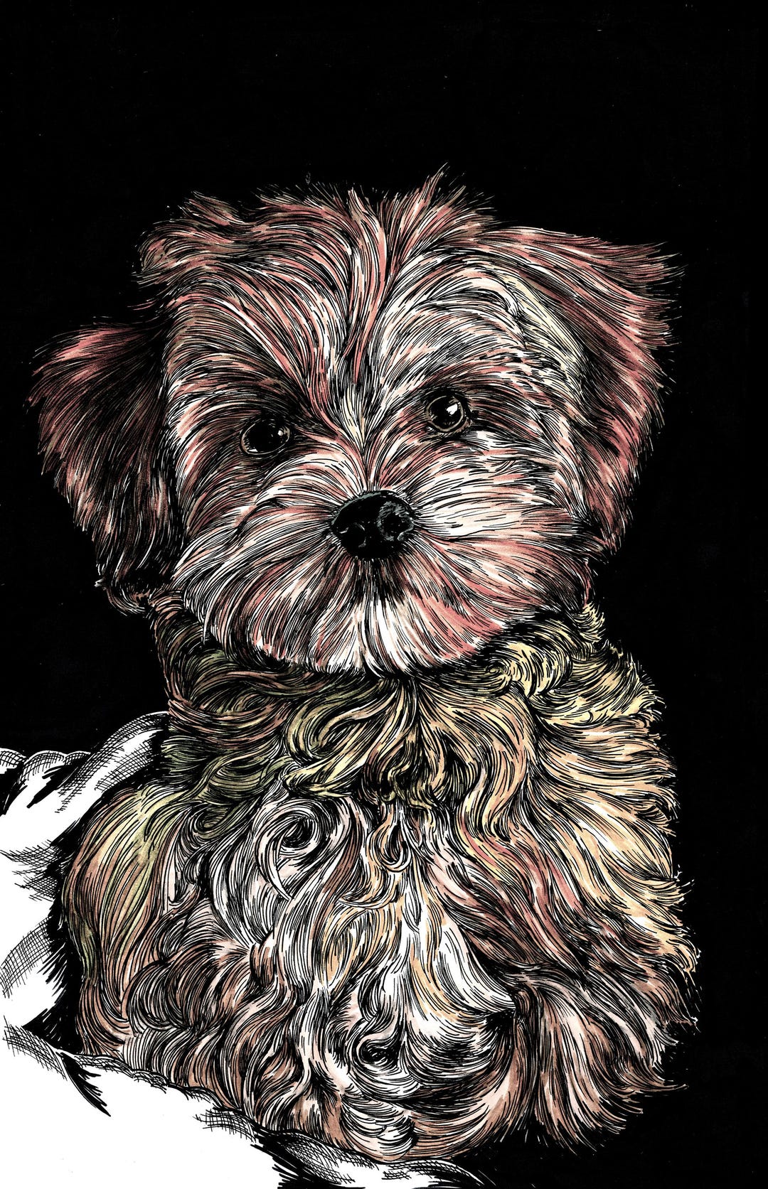 Digital Hand Drawn Pet Portrait, Custom Dog Art, Canadian Artist - Etsy