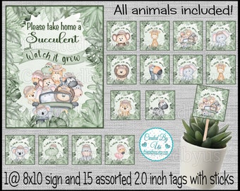 Baby safari succulent favors Jungle safari Baby shower favors Watch me grow Succulent tags Baby succulent tag Baby Zoo favor baby gift favor
