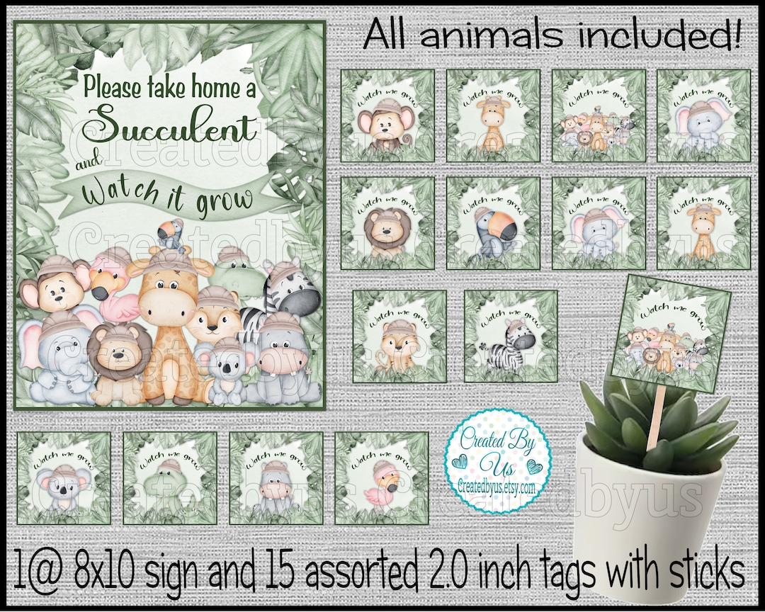 Baby Jungle Succulent Favors Jungle Safari Baby Shower Favors Watch Me