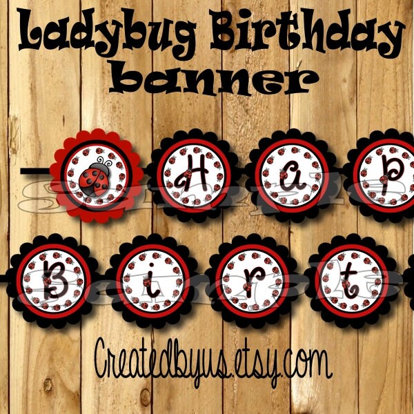 Girl Ladybug Birthday Banner Little Lady party decortaions Lady bug banner Lil Lady sign Ladybug theme Happy birthday banner birthday name