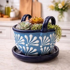 May include: A blue ceramic basket planter with white floral designs, filled with various succulents. The planter has two arched handles and sits on a matching saucer. The arrangement is on a countertop.