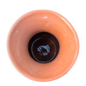 Pu&ograve; includere: Un vaso color pesca con un bordo ampio e arrotondato e un interno marrone scuro. Il vaso ha una finitura liscia e lucida e un design semplice ed elegante. L'interno sembra essere una superficie scura e riflettente.