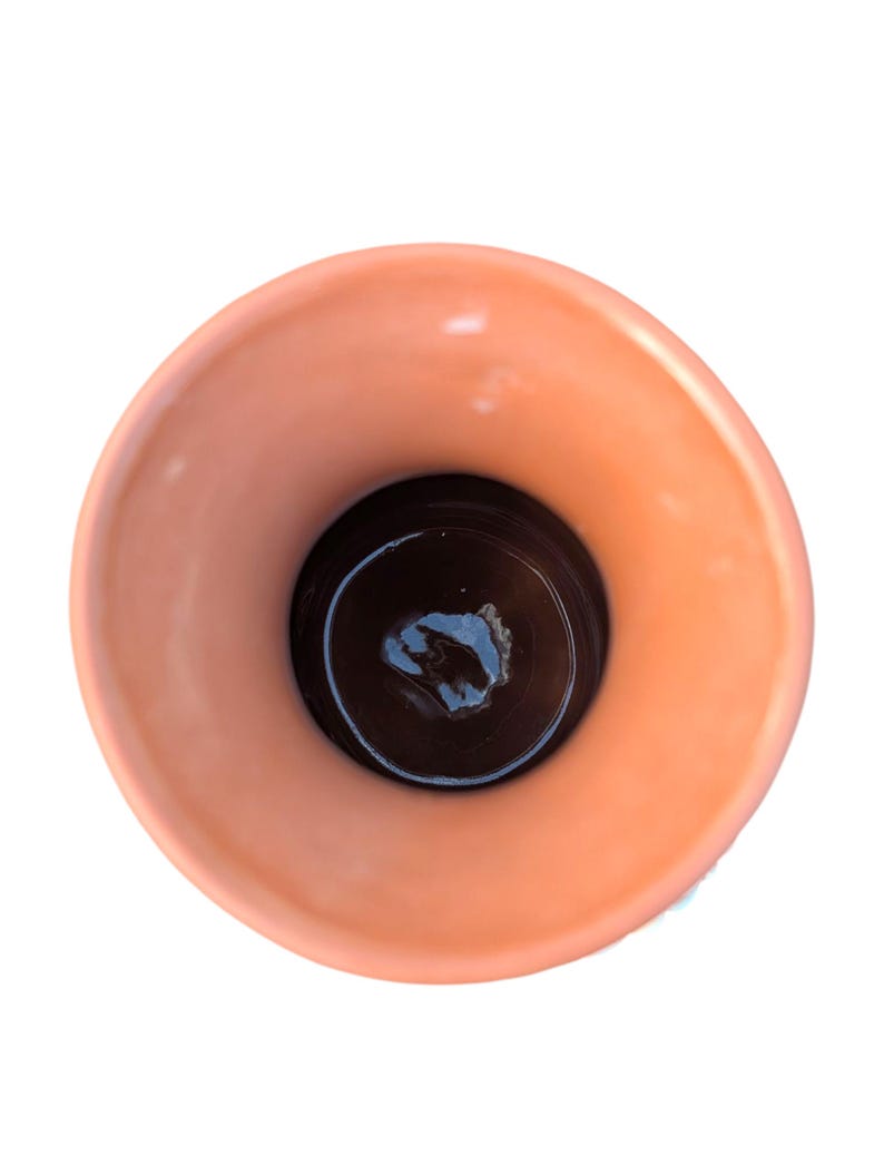 Pu&ograve; includere: Un vaso color pesca con un bordo ampio e arrotondato e un interno marrone scuro. Il vaso ha una finitura liscia e lucida e un design semplice ed elegante. L'interno sembra essere una superficie scura e riflettente.