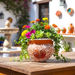 May include: A terracotta flower pot with a hand-painted butterfly design, filled with colorful flowers and greenery. The pot sits on a wooden table, showcasing a vibrant display of nature and artistry. The pot's diameter is approximately 12 inches.