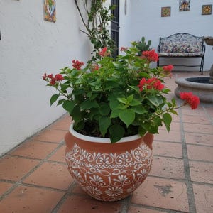 Könnte beinhalten: Ein terrakottafarbener Keramik-Blumentopf mit weißem Blumendesign, gefüllt mit grünem Laub und leuchtend roten Blüten. Der Topf steht auf einer Ziegelterrasse, mit einer weißen Wand und dekorativen Fliesen im Hintergrund.