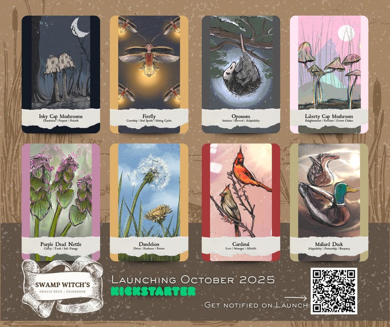 May include: An oracle deck featuring illustrated cards with nature themes. Cards include Inky Cap Mushrooms, Firefly, Opossum, Liberty Cap Mushroom, Purple Dead Nettle, Dandelion, Cardinal, and Mallard Duck. The deck is launching October 2025.