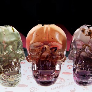 May include: Three transparent skull-shaped decorative objects with varying shades of color. The center skull is a deep reddish-brown, flanked by a green and a purple skull. The base has the text "AMARIS COVE".