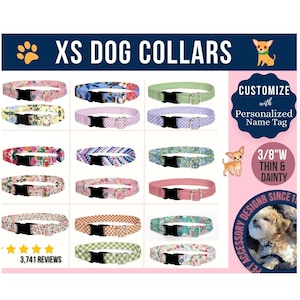 XS Dog Collars for Tiny Dogs, Little Dog Collar, Tiny Dog Breed Collar, Small Dog Collar Boy, Girl
